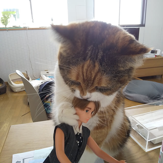 yukieさんの実例写真