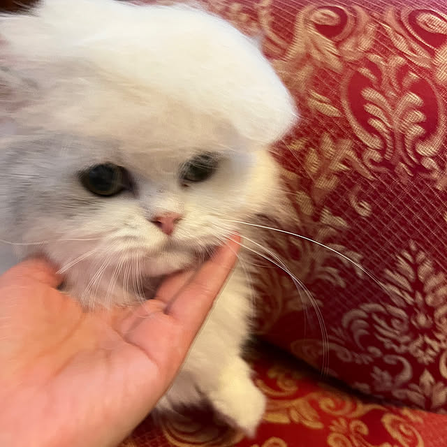 AYUKOさんの部屋