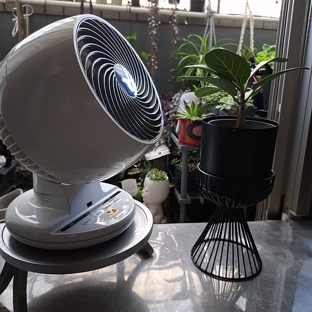 noaさんの実例写真