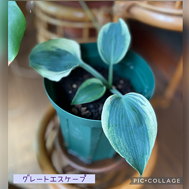 buchiさんの部屋