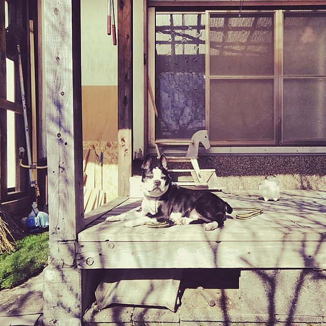 実例写真