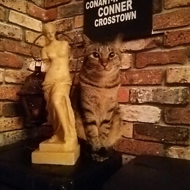torao.jdさんの実例写真