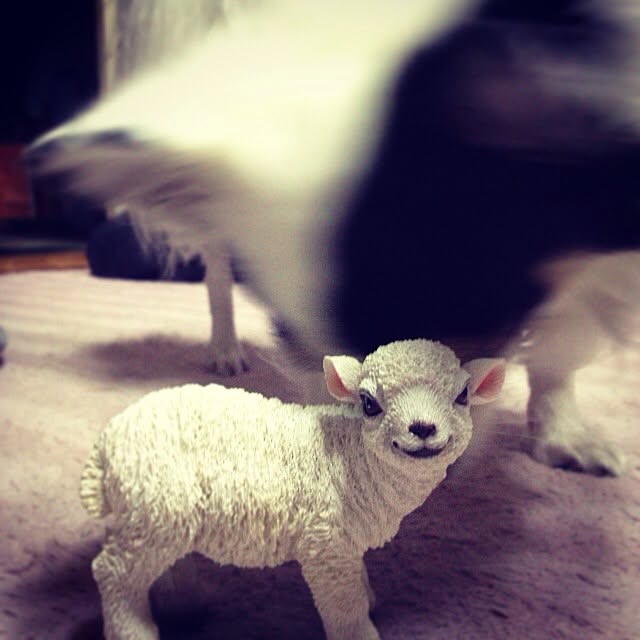 runさんの実例写真