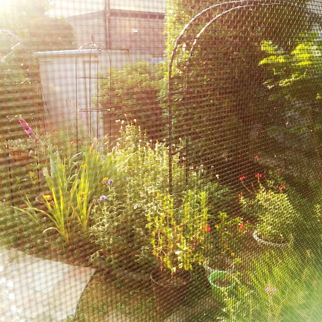 Tomopさんの実例写真