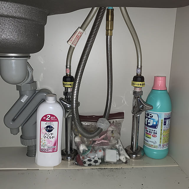 eshinobumさんの実例写真