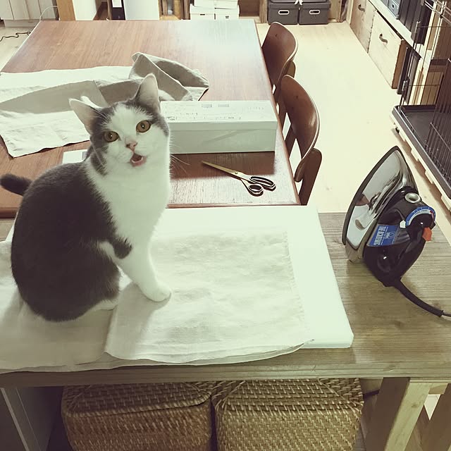 yunさんの実例写真