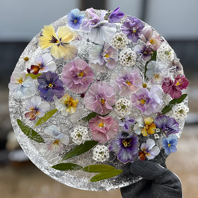 mayumiさんの部屋