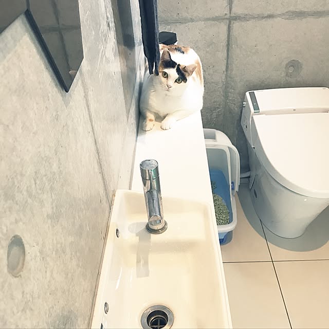 mashさんの実例写真