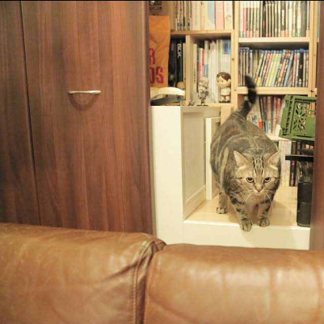 haruhouseさんの実例写真