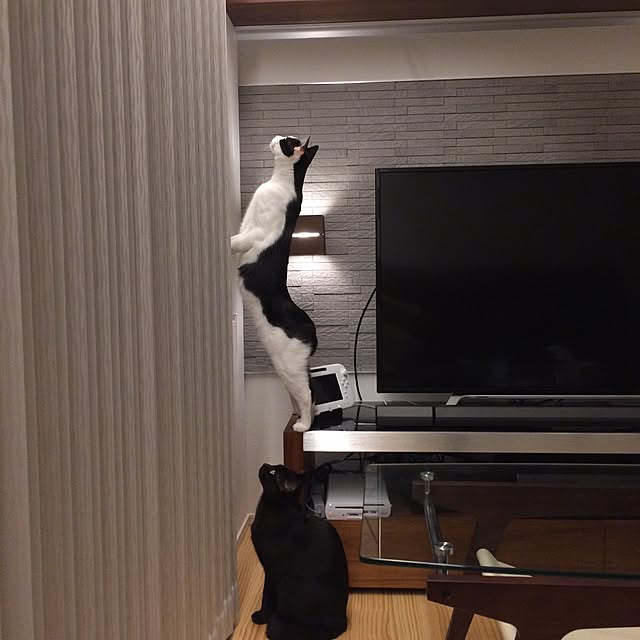 aruさんの実例写真