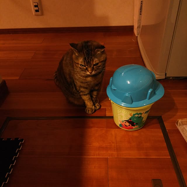 Y.Gさんの実例写真