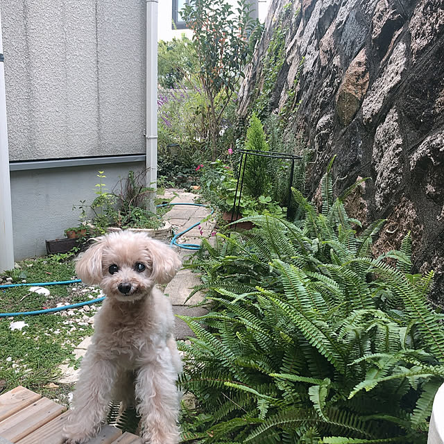 konaさんの実例写真