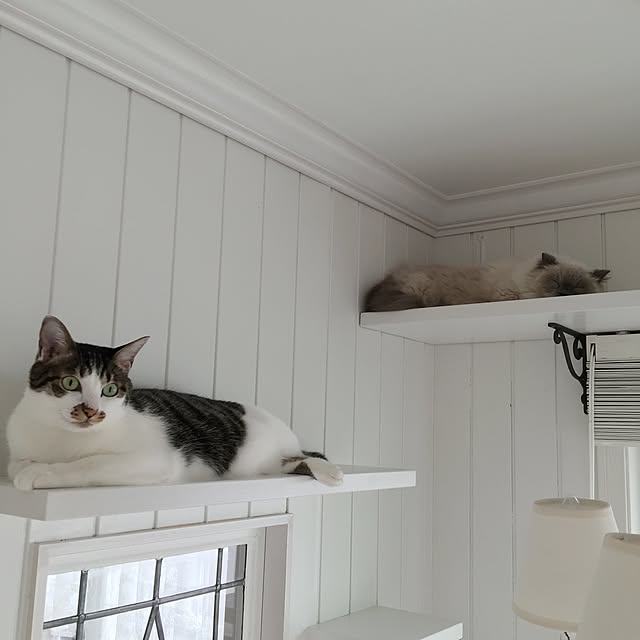 yuchiさんの実例写真