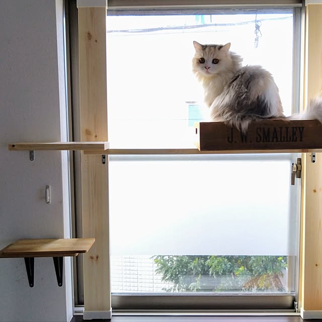 hiromi0302さんの実例写真