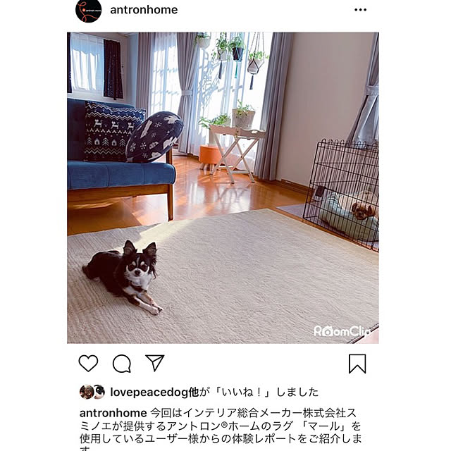 makoさんの実例写真