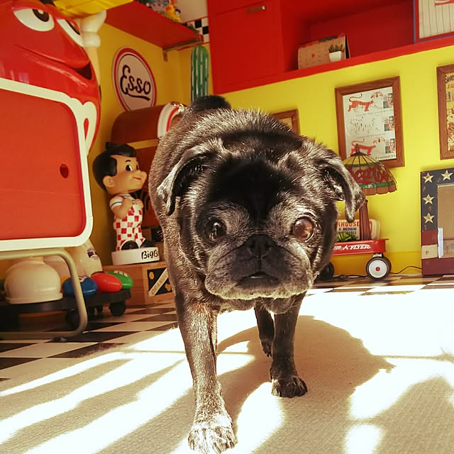 kuupugさんの実例写真