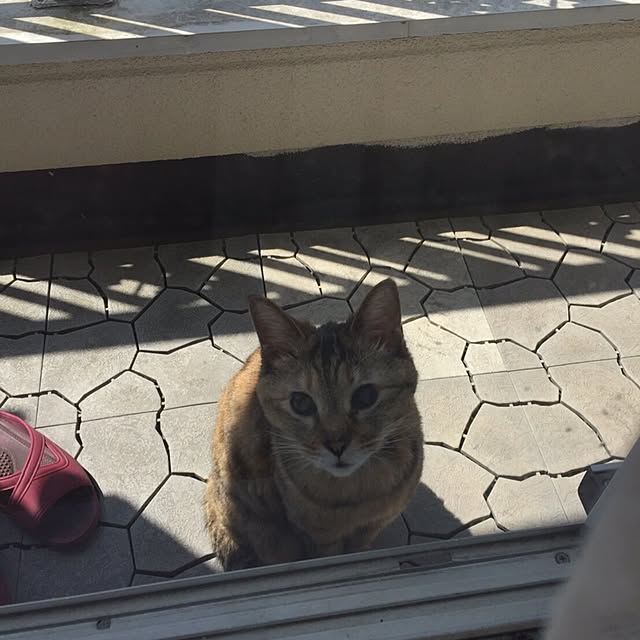 hatsumiさんの実例写真