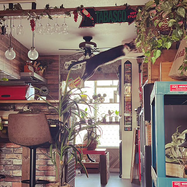 muupoupepeさんの実例写真