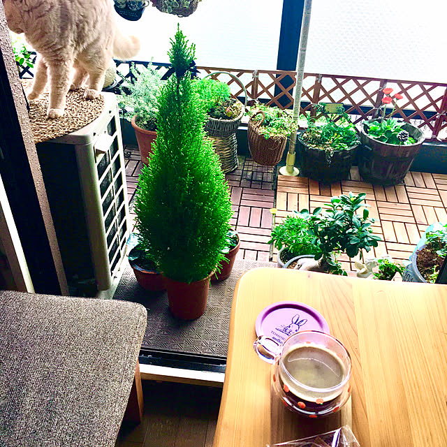 naokoさんの部屋