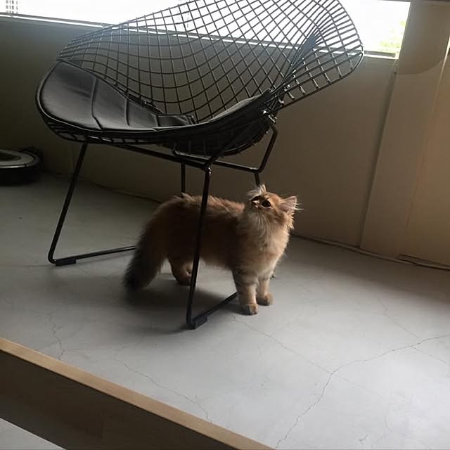 Daisukeさんの実例写真