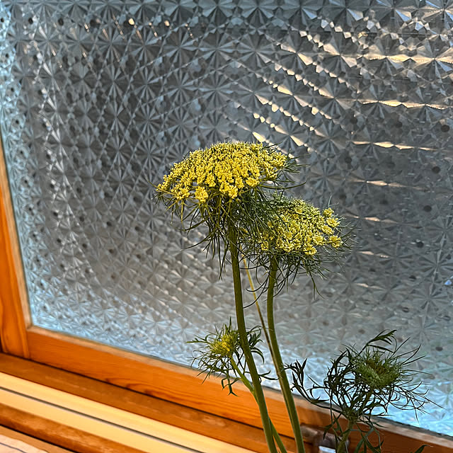 botanさんの部屋