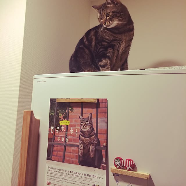 mikomaruさんの実例写真