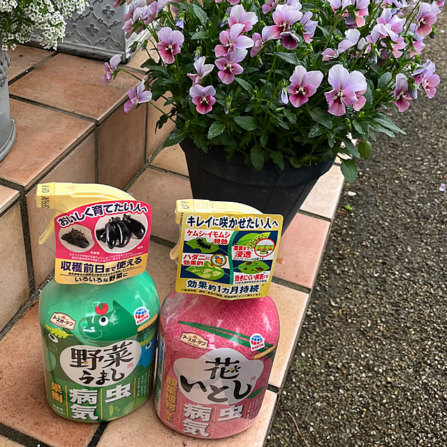 rokokoさんの実例写真
