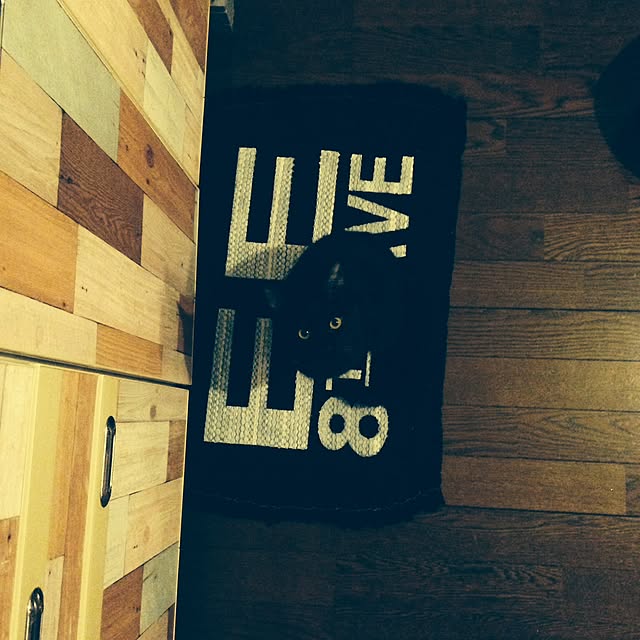 Naoki.さんの実例写真