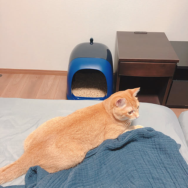 reo..m.aさんの実例写真