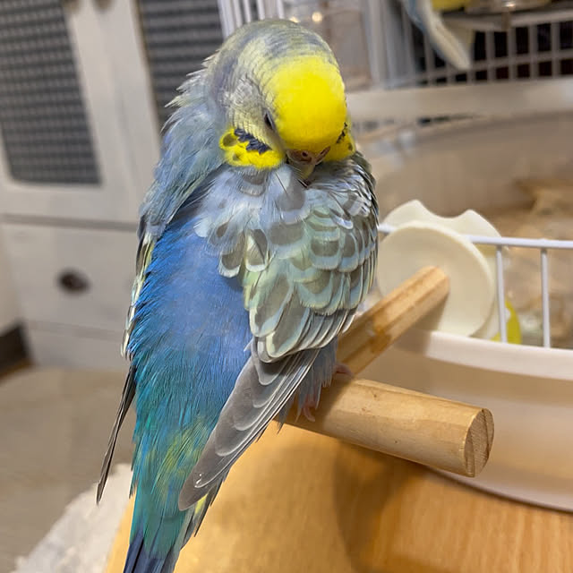 Atsukoさんの部屋