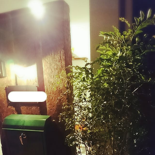 bump11222000さんの実例写真