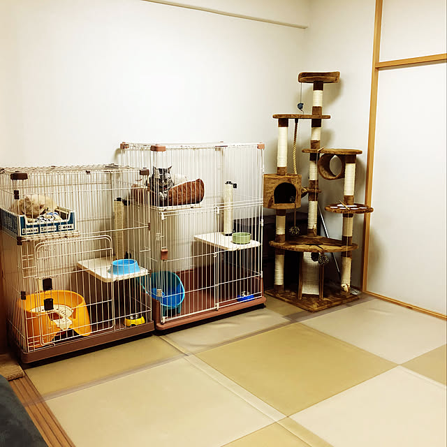 mutsuさんの実例写真
