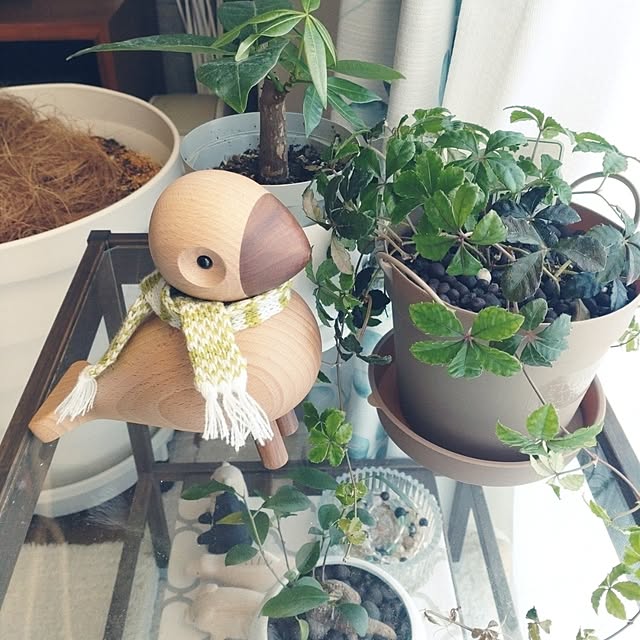 tan5さんの実例写真