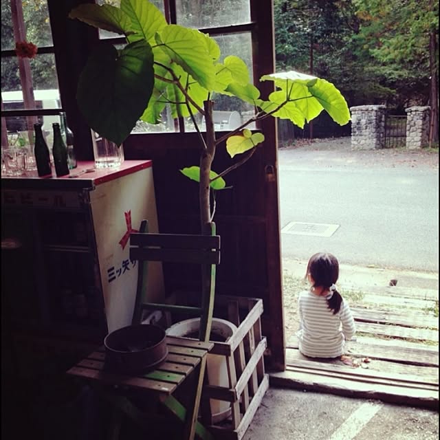 soranootoさんの実例写真