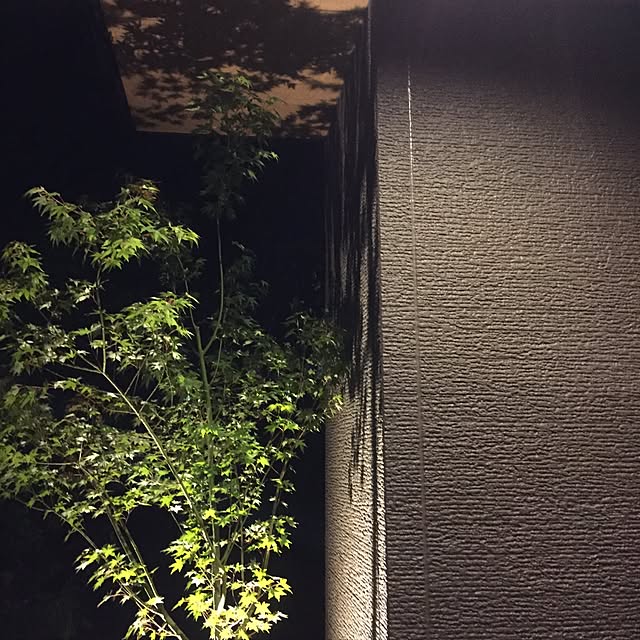Kuronecoさんの実例写真