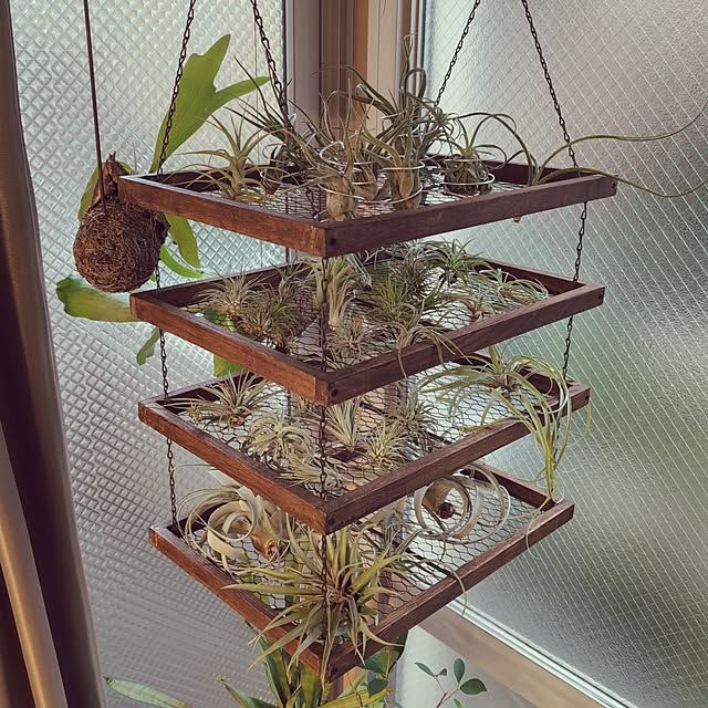 tkmrubikさんの実例写真