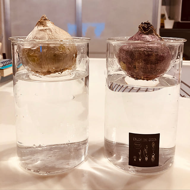 petitdiaさんの実例写真