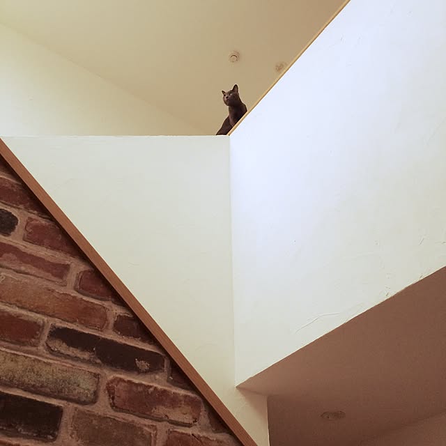 Rさんの実例写真