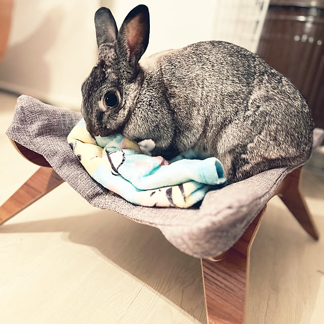 hirariさんの実例写真