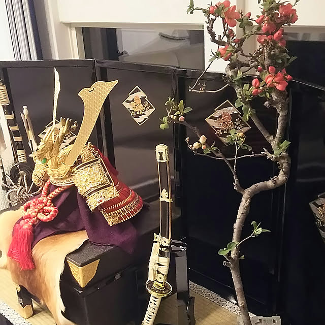 mutyukingさんの実例写真