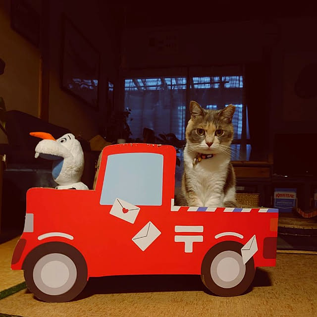 fukuさんの実例写真