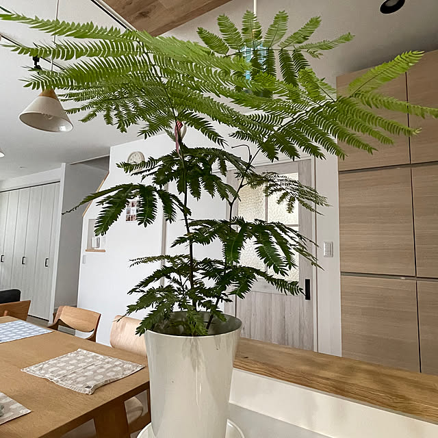 akanatukotoさんの部屋