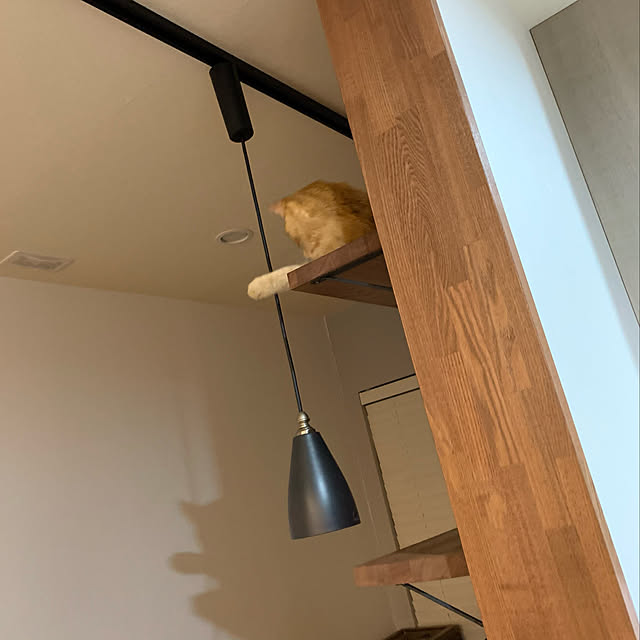 mikeume7さんの実例写真
