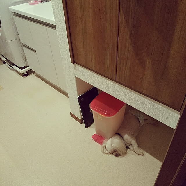 kakkoさんの実例写真