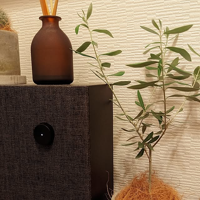 棚/ひとり暮らし/一人暮らし/1K/IKEA...などのインテリア実例 - 2023-12-21 19:48:05