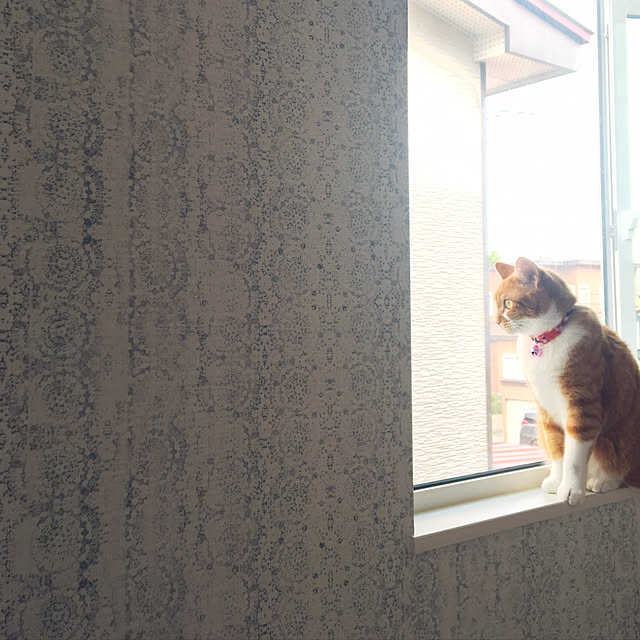 myuuさんの実例写真