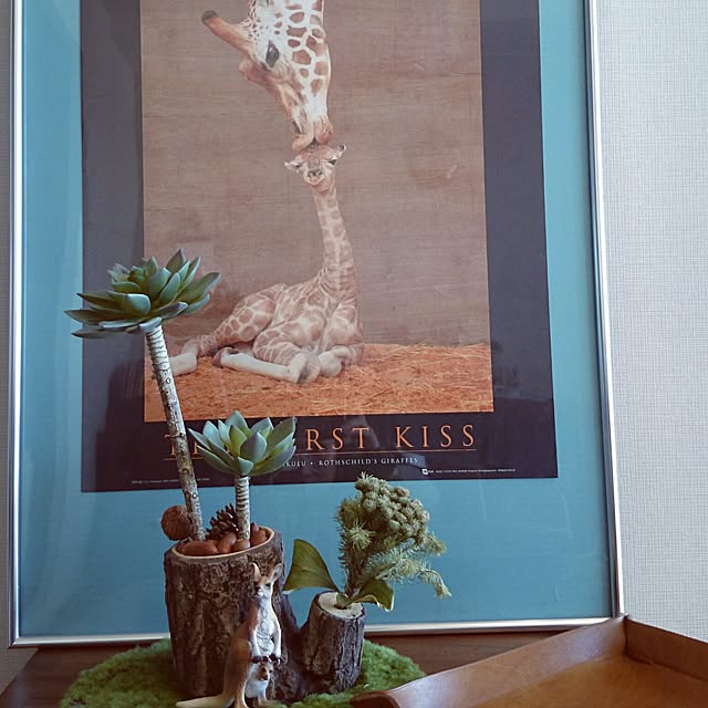 RICCOさんの実例写真