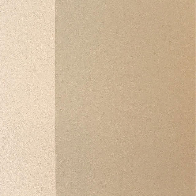 satomi1004さんの実例写真
