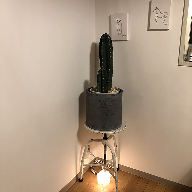 momonyanさんの実例写真