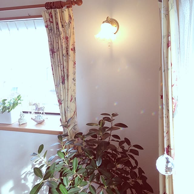 部屋全体/観葉植物/照明/サンキャッチャー/出窓のインテリア実例 - 2014-02-10 09:48:30